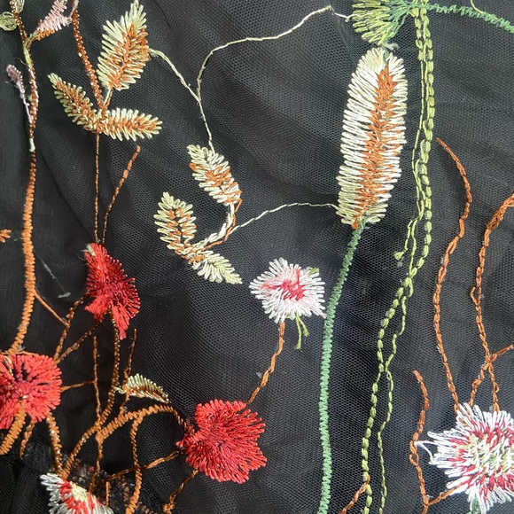 Sheer Floral Embroidered Garden Dress with Black Slip - Picture 3 of 6
